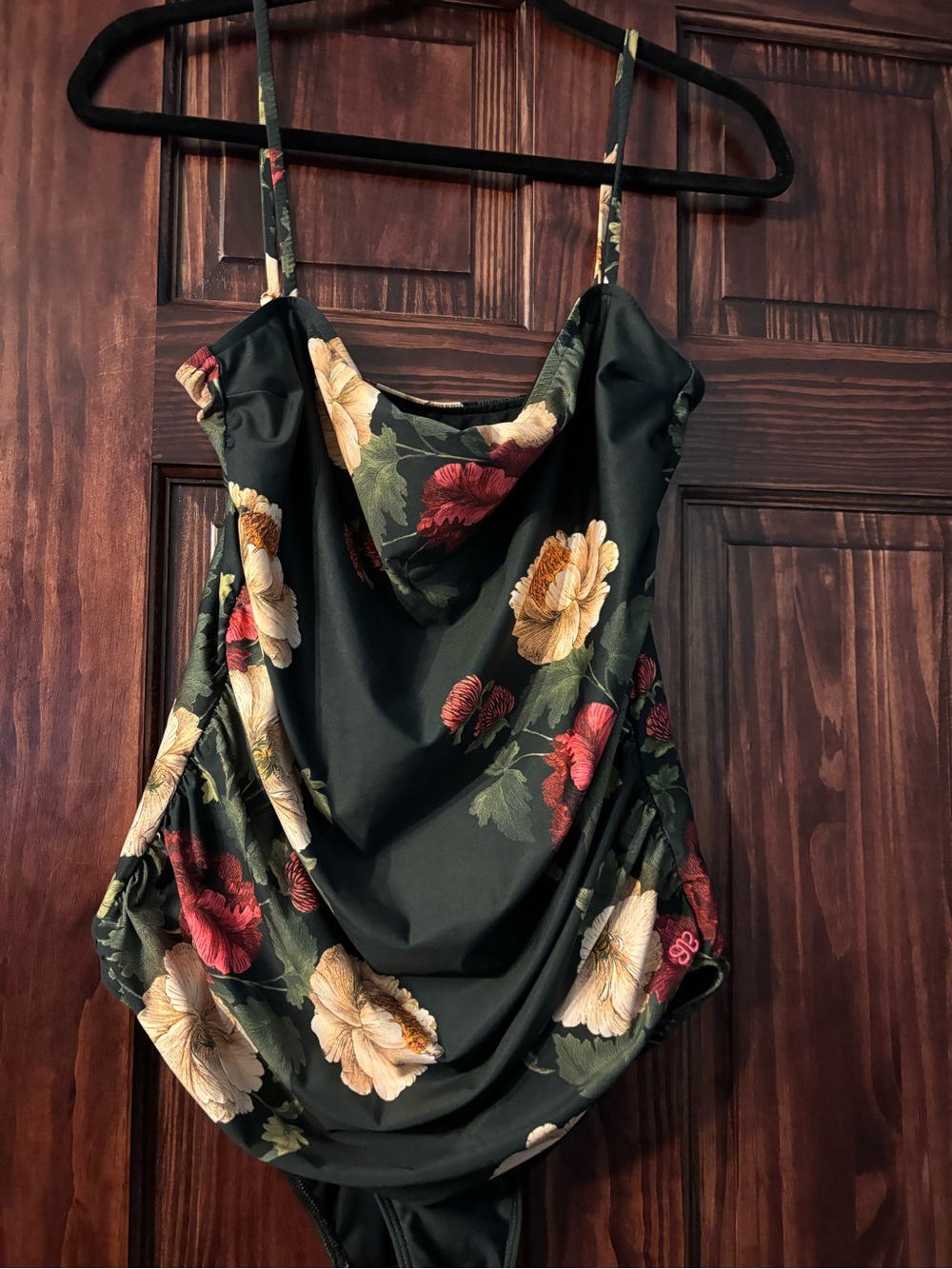 Albion Black Floral One-Piece Swimsuit with Red and Cream Blooms